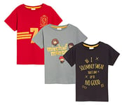 Harry Potter Kids 3 Pack T-Shirts Boys Girls Hogwarts Top Ron Hermione Quidditch Short Sleeve Tees Multi