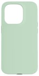 Coque pour iPhone 15 Pro Couleur menthe vert clair simple