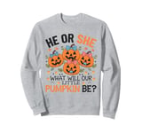 He or She What Will Our Little Pumpkin Be Baby Pregnancy Sweatshirt