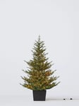 John Lewis Cotswold Potted Pre-lit Christmas Tree