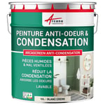 Peinture anti condensation anti odeur moisissure Blanc Crème 10 L