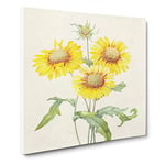 Yellow Blanket Flowers by Pierre Joseph Redoute Vintage Canvas Wall Art Print Ready to Hang, Framed Picture for Living Room Bedroom Home Office Décor, 14x14 Inch (35x35 cm)