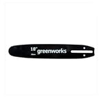 Greenworks Sabre de rechange pour tronçonneuse (barre de 25 cm adaptée aux tronçonneuses de la série 24 V Greenworks)