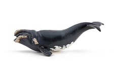 Papo - Figurines à Collectionner - Baleine franche - 56057 - Animaux Marins - pour Enfants - Filles Et Garçons - A Partir de 3 Ans