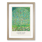 Big Box Art Apple Tree with Border by Gustav Klimt Framed Wall Art Picture Print Ready to Hang, Oak A2 (62 x 45 cm)