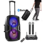 Bluetooth Karaoke Speaker with STWM712 Dual Wireless Microphones FT210LED