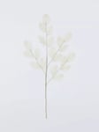 Everlands Feathery Stem, White