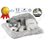 TD® purificateur d'air en chien husky voiture maison de bureau desodorisant humidificateur bébé peluche neutralisant odeur permanent