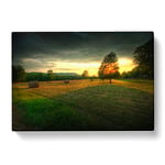 Landscape Tree and Hay Bales Modern Canvas Wall Art Print Ready to Hang, Framed Picture for Living Room Bedroom Home Office Décor, 50x35 cm (20x14 Inch)