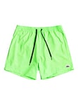 Quiksilver Garçon Everyday Volley Youth 13 Maillot de bain, Green Gecko, 10 ans EU