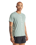 Terrex Agravic Trail Running Tee M SILGRN (M)