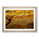 Big Box Art Apple Tree with Red Fruit by Paul Ranson Framed Wall Art Picture Print Ready to Hang, Oak A2 (62 x 45 cm)