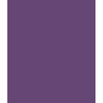 ARK Lot de 10 feuilles de papier cartonné coloré Format A4 240 g/m² Violet