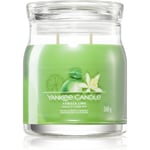 Yankee Candle Vanilla Lime duftlys Signatur 368 g