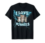 I Love Pussy Cats, Funny Adult Inappropriate Pussy T-Shirt