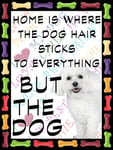 Shawprint Bichon Frise Dog Fridge Magnet 100mm x 75mm HOME IS WHERE THE DOG HAIR STICKS TO EVERYTHING BUT THE DOG Novelty Gift