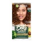 Garnier belle color 5.3 natural chataigne dore clair