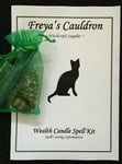 Candle Magic Spell Kit Wealth Ritual Crystal Oil Herb