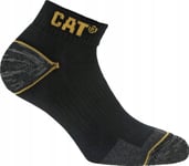 Cat Male Socks Cat Zcm0509 Black 43/46 3Pr