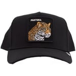 Casquette Goorin Bros  PANTERA