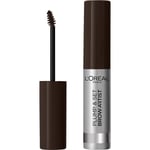 Loréal Plump & Set Brow Artist 108 Dark Brunette