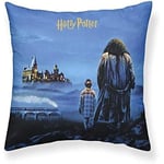 BELUM | Harry Potter Kuddfodral Storlek: 50x50 - Modell: De vises sten A - Tyg: Halvt Panama 100% Bomull 250 Grs.