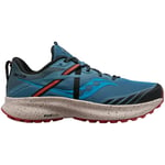 Chaussures Saucony  Ride 15 Tr