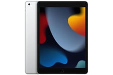 Apple iPad Air 10.9-inch (4th gen) Wi-Fi (2020) A2316 256GB Silver