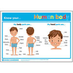 Signs 4 Learning know Your Human Body A3 Poster, Standard, 297mm x 420mm