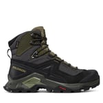 Trekking-skor Salomon Quest Element Gtx GORE-TEX 414571 28 V0 Grön