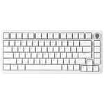 YUNZII B75 Clavier Mécanique 75% Hot Swap Clavier avec Knob RGB Backlit Gasket Jeu Clavier avec Double-Shot PBT Keycaps Cherry Profile pour Win/Mac (White, Blue Grey Tactile Switch)