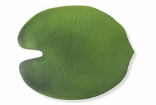 Villa d’Este Home Tivoli 5901203 6 Sets de Table Jungle-d, Polychlorure de Vinyle, Vert, NO