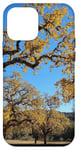 Coque pour iPhone 12 mini Majestic Oak Trees Feuilles Dorées Automne