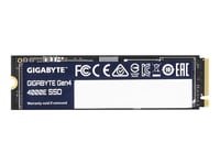 Gigabyte Gen4 4000E - Ssd - 250 Gb - Inbyggd - M.2 2280 - Pcie 4.0 X4 (Nvme)