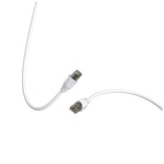 GREEN E - Cable Ecoconçu Réseau Ethernet RJ45 Cat6 – 5,0 m - Neuf