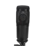 Condenser Mic Bundle Noise Reduction Pc Computer Usb Mic For Gaming Livestreamin