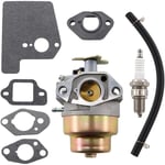 Carburateur avec joint pour tondeuse à gazon Honda hrx 426 qx, HRB476C qxe, HRX426 rxe, HRX476C-QX, HRB536C hxe, hrx 426 sx, hrx 476 hx, hrx 476 sx,