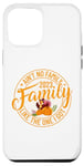 iPhone 12 Pro Max Ain't No Family Like The One I Got Family Reunion 2023 Match Case