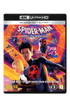 Spider-Man: Across the Spider-Verse (Blu-Ray + 4K UHD) - Media fra Outland