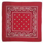 Bandana Paisley Mönster Röd