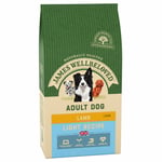 James Wellbeloved Lamb & Rice Light Kibble 1.5kg