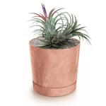 Botle Pot De Fleur Rond Terre Cuite Marron Plastique Beton Effect Cache Pot 37,5 Cm Decoratif Bac A Plantes Avec Soucoupe Fleurs