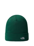 THE NORTH FACE Unisex Norm Beanie Hat, Moss Green, One Size