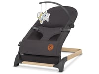 Lionelo Baby Swings - Lo-June Grey Stone