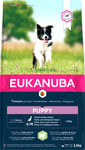 Valpfoder Eukanuba Puppy Small/Medium Lamb & Rice 2,5kg