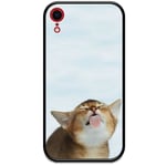 Apple Iphone Xr Svart Mobilskal Med Glas Cat Keeps You Clean