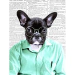 Artery8 Nerdy French Bulldog Upcycle Style Dictionary Premium Wall Art Canvas Print 18X24 Inch