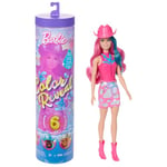 Barbie Poupée Barbie Color Reveal et Accessoires avec 6 Surprises, série Disco Star, Corsage Brillant avec Fonction Changement de Couleur (Les Styles Peuvent Varier), JCP01