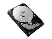 Seagate - Hårddisk - 600 Gb - 2,5" - Sas 6Gb/S - 10000 Rpm - För Poweredge C6220, M520, M620, R210, R420, R620, R720, T320, T420  Powervault Md3200, Nx3300