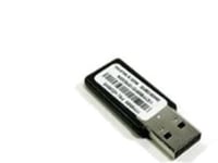 Lenovo Usb Memory Key For Vmware Esxi 5.0 - Boxpaket - 1 Server - För System X3550 M4  X3650 M4  X3950 X5